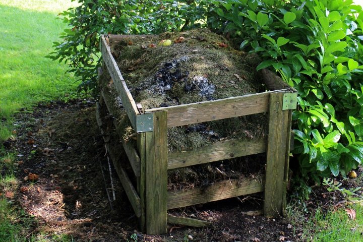 Kompost může mít na vaši zahradu blahodárné účinky. Víte, co do něj patří a jak s tímto pokladem správně nakládat?