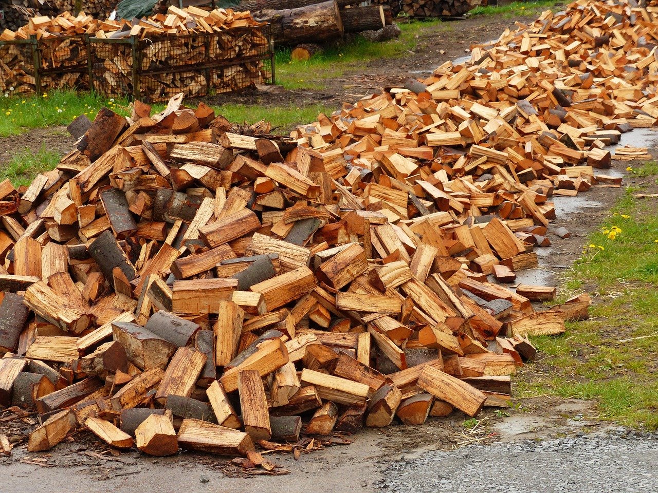 Kolik stojí palivové dřevo?